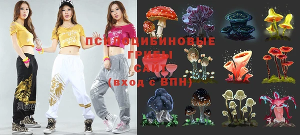 стаф Киреевск