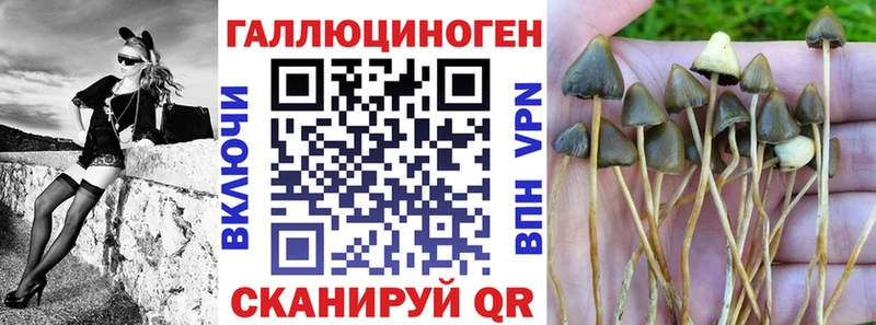 Псилоцибиновые грибы мухоморы  Купить где  Олонец 